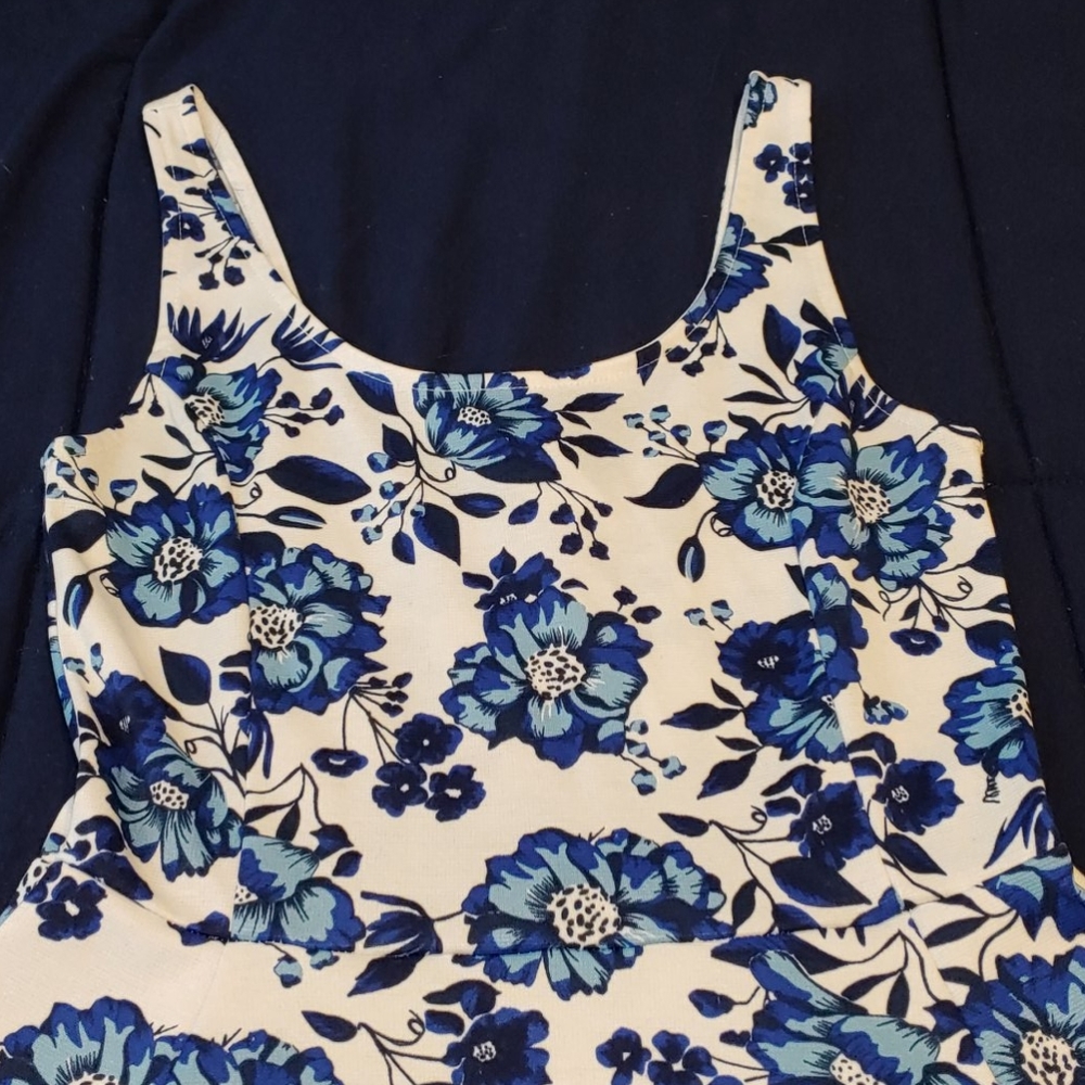 Blue flower print Skater dress